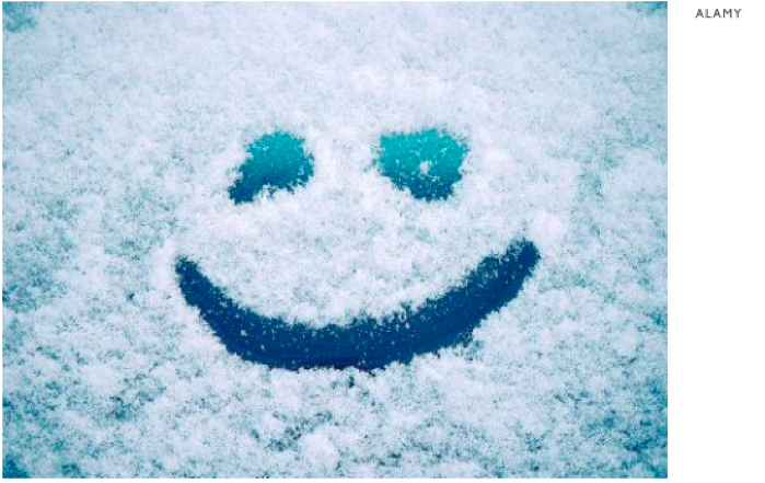 Screenshot 2020-01-31 at 11.53.51